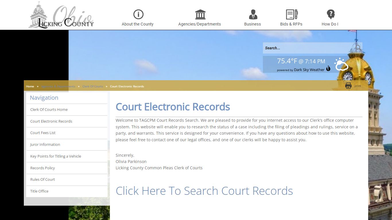 Licking County - Court Electronic Records